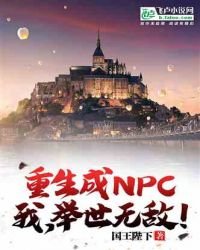 重生成npc,我,舉世無敵!